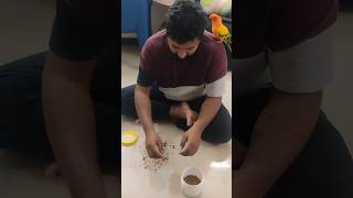 Lucky Ku Lanjam Kudukanum