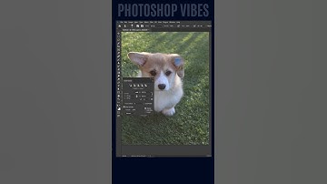 Dog Ear Correction using Clone Stamp Tool in Photoshop