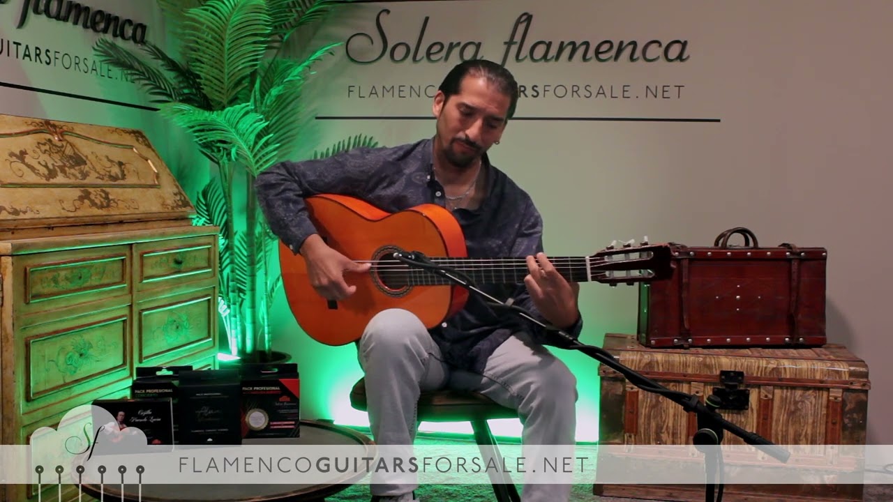 Mariano Conde A26 nº9 2011 flamenco guitar for sale played by José Andrés Cortés