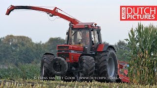 Case IH 1455 XL - Mais hakselen - Maishäckseln - Maize harvest - 2017 - Busweiler