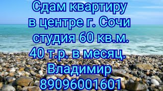 Аренда квартир в Сочи/Сдам квартиру в центре Сочи/ Студия 60 кв.м. Аренда квартир в Сочи/Сдам квартиру в центре Сочи/ Студия 60 кв.м.