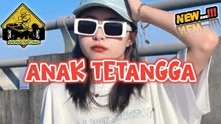 Video thumbnail of "LISA ANAK TETANGGA REMIX_•Papa Adung•_2023!!!"