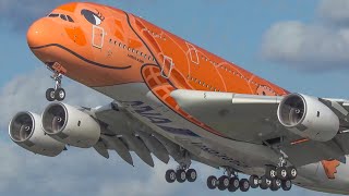 60 MINUTES PURE AVIATION - AIRBUS A380, B747, Beluga - Special painted planes only (4K)