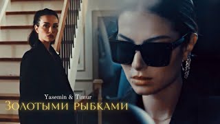 ►Yasemin & Timur [+Adem] | Новая жизнь | Золотыми рыбками