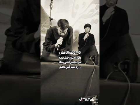 اذا ما ذابحينك كوم وذا مذبوح ضل نايم محمد الحلفي ستوريات حسينيه حالات واتساب المحتوى الرائج