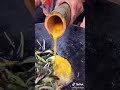 Amazing Cooking At Home