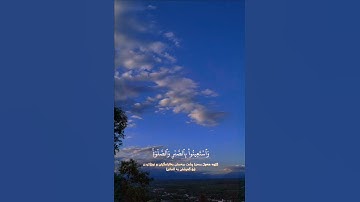 #سورة_البقرة#القارئ_ياسين_شريف
