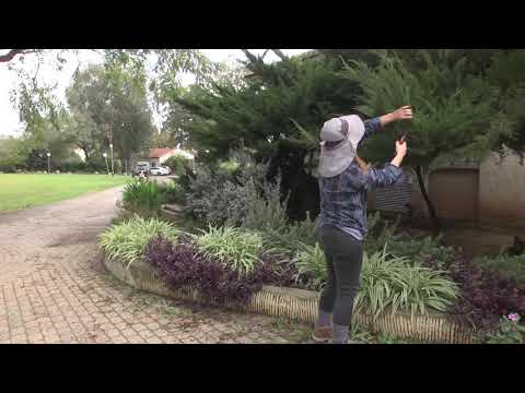 ט"ו בשבט - עין החורש 2021
