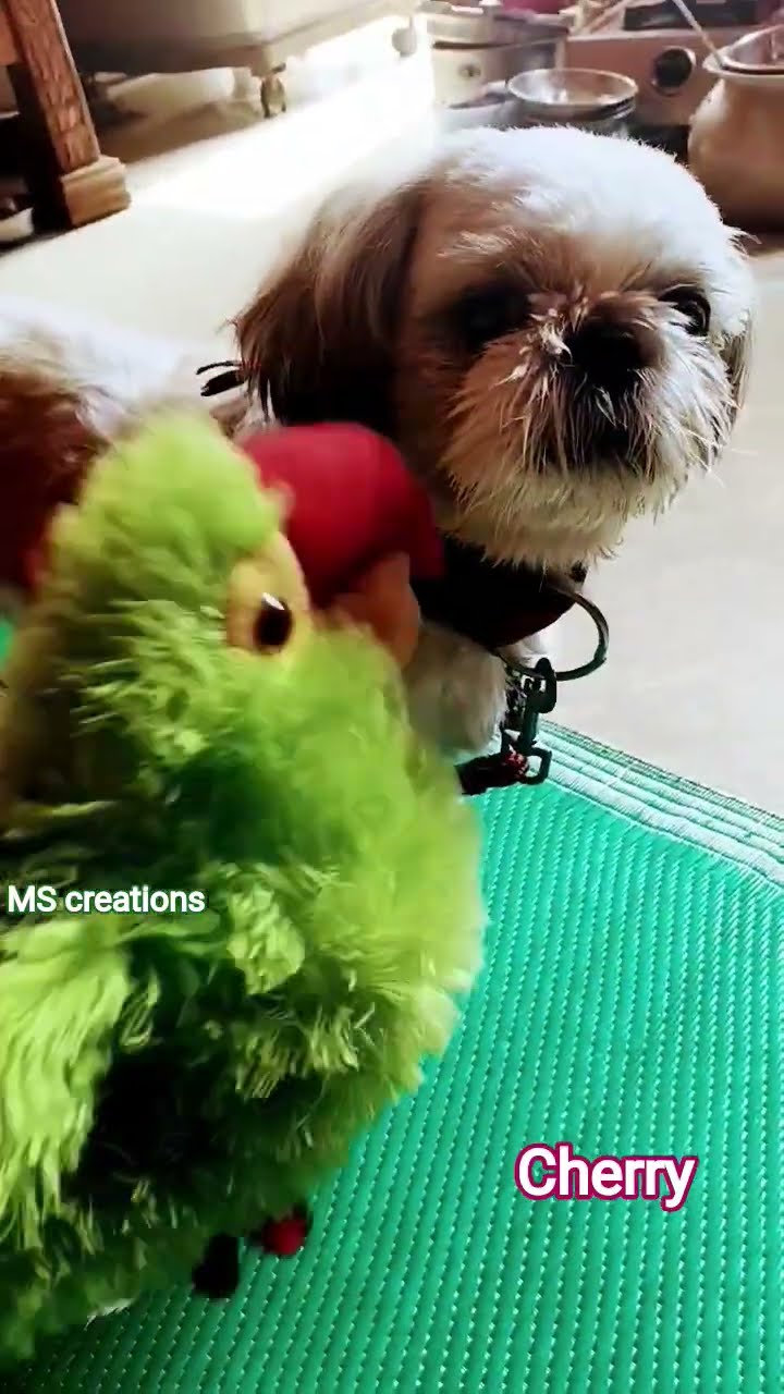 💕ಎರಡು ಹೃದಯಗಳು - ShareChat