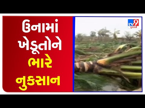 Farmers in Una face heavy crop loss due to Cyclone Tauktae, demand compensation | TV9News