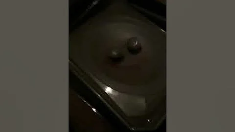 Beyblade Doomsizer vs Unicrest superdishilous