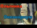 Ольгинка 2020 / Идем в Океанариум