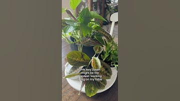 I wanted something that felt lived in & still pulled together #lazysusan #FunctionalCenterpiece