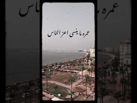 اجمل ما غنى الفنان عامر منيب