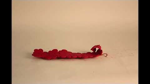 experimental media project 2010