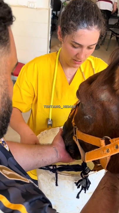 Pria ini selalu beli kuda #hewan #shorts #kuda