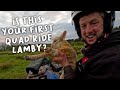 First time for everything  |  Lambing Day 19