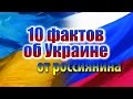 10 ФАКТОВ ОБ УКРАИНЕ ОТ РОССИЯНИНА