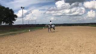 Summer’s Due “Sparty” Flat Work 10.7.2018
