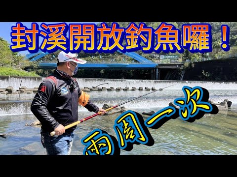 每2周開放一次釣魚!!魚種豐富政府鼓勵大家多釣一點走 適合全家人釣點