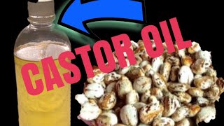 How to make homemade Castor Oil- 100% pure organic😱😱
