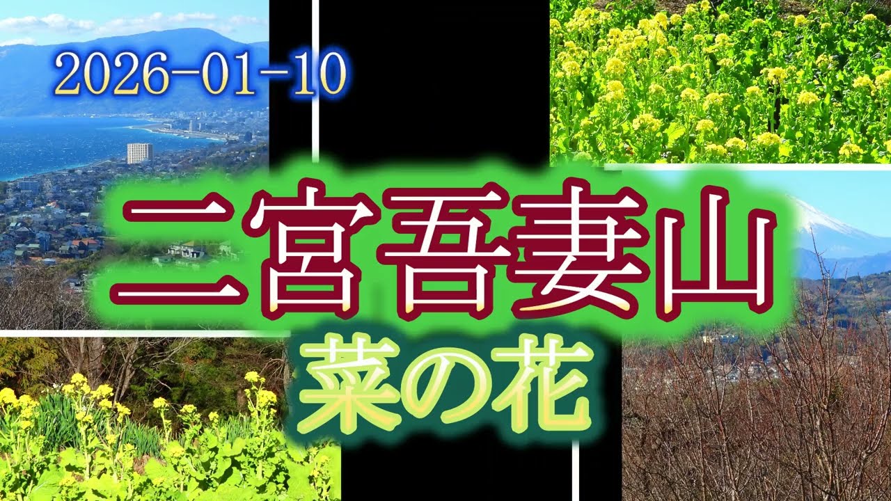 2026-01-10 二宮吾妻山菜の花 - YouTube