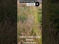 Cathair Crobh Dearg the 'city' Shrone County Kerry