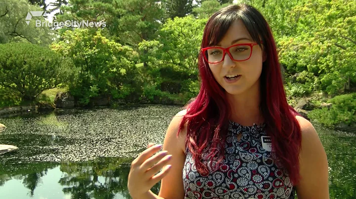 Nikka Yuko Japanese Garden honouring Sadako Sasaki