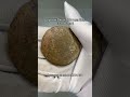 Тгк: Сокровища Империи #нумизматика #coin #коллекционированиемонет #коллекция #коп_монет