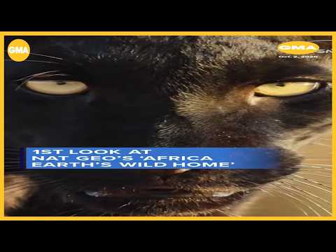 1st look at Nat Geo’s ‘Africa Earth’s Wild Home’