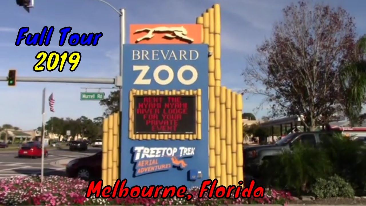 Brevard Zoo Full Tour Melbourne, Florida YouTube