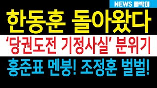 속보) 한동훈 돌아왔다! '당권도전 기정사실' 분위기, '배신자' 홍준표·조정훈 난리났다!!