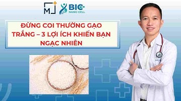 ĐỪNG COI THƯỜNG GẠO TRẮNG – 3 LỢI ÍCH KHIẾN BẠN NGẠC NHIÊN | BÁC SĨ TRẦN MINH