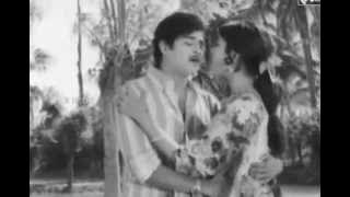 Mallikaa Baanan Thante Villeduthu..!! (Mini Anand)