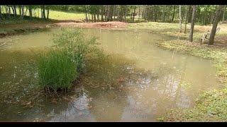 Harbor Freight trencher pond is complete.