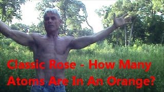 Classic Rose - How Many Atoms Are In An Orange?