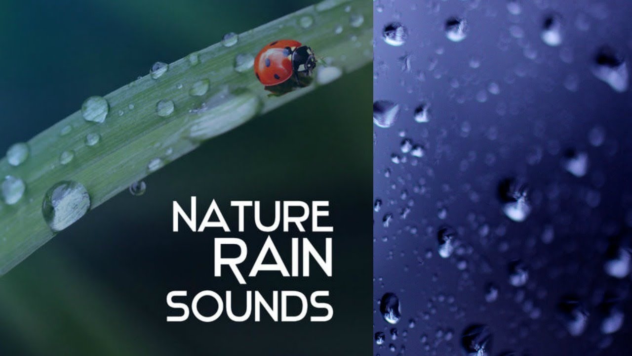 Rain Sounds 10 Hours:The Sound of Rain Meditation,Autogenc Training, Deep Sleep,Relaxing Sounds
