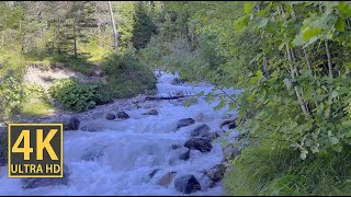 Sunny Landscape Nature Walk 4K (With Ambient Nature Sounds And Music)