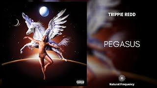 Trippie Redd - Pegasus (432Hz)