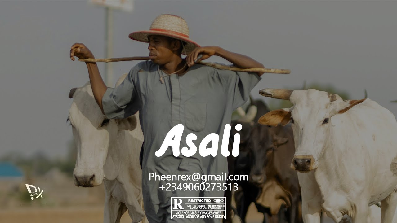 Free Hausa Beat Instrumental 2024   ASALI  ClassiQ Gargajiya Type Beat Kidan Hausa