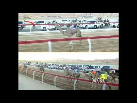 مهرجان الساد حقاقة    صباحا الشوط 