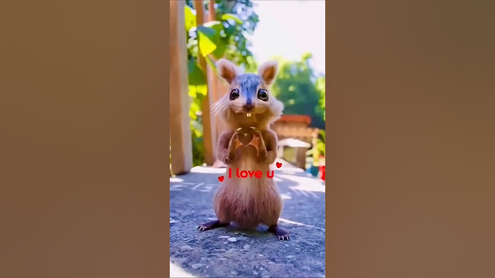 Gaurav Ka Friend Kesa Laga Aapko #shorts #gauravaroravlogs #youtubeshorts