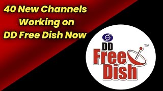 40 New Channels working on DD Free Dish | DD Free Dish New Updates today | New Channels