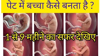 पेट में बच्चा कैसे बनता है ? 1 to 9 Month Of Baby Growth During Pregnancy //