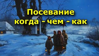 Когда, чем и как посевать на Старый Новый год.