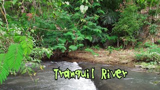 Relaxing River Rhythms: Soothing Sounds For Sleeping, Focus, And Meditation