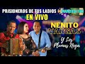 PRISIONERO DE TUS LABIOS EN VIVO-NENITO VARGAS Y LOS PLUMAS NEGRAS