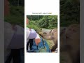 Monkey learned his or her lesson! #fyp #pets #animals