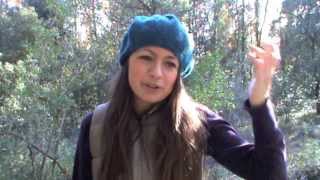 Holidays from Hell Watch this! (money inspirACTION#285)