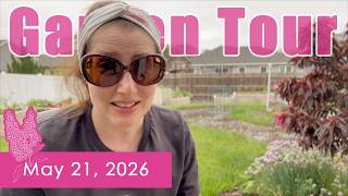 Rain Changed Everything 🌧️ Garden Tour May 21, 2026